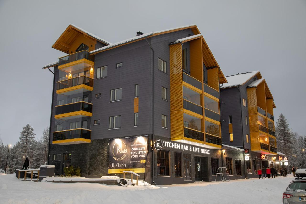 Levin Kunkku B2 Apartment Grey Eksteriør bilde